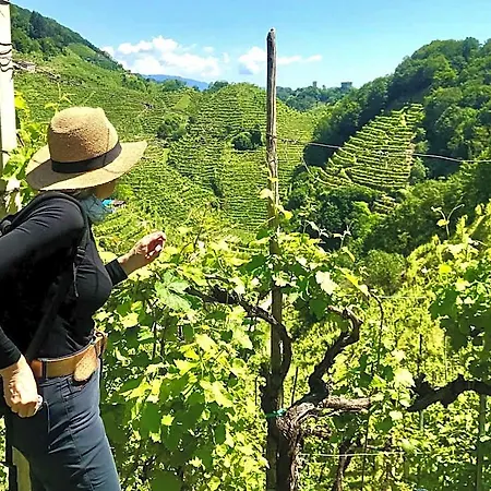 Charming Dei Chiostri Hotel 4*